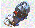 2CY不锈钢齿轮泵-不锈钢齿轮油泵-不锈钢齿轮泵