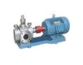 圆弧保温泵-YCB不锈钢齿轮泵-不锈钢齿轮泵