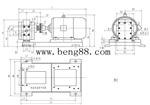 GZYB型高精度渣油泵-GZYB型高精度齿轮泵-高压齿轮泵