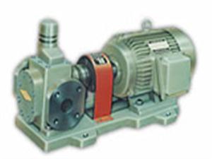 圆弧齿轮泵-YCB圆弧齿轮泵-泊头圆弧齿轮泵